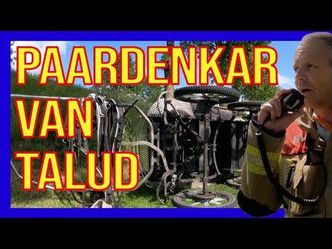 Paard met kar van Talud  - VOLUNTEERS DUTCH FIREFIGHTERS -