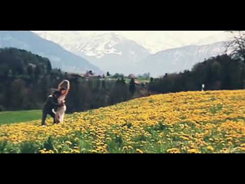 Anda ninna hesara kannada song status