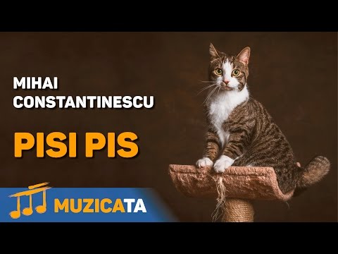 Pisi pis - Mihai Constantinescu