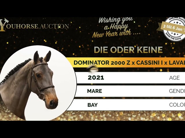 Die oder Keine
