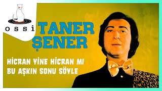 Taner Şener / Hicran Yine Hicran Mı Bu Aşkın Sonu Söyle