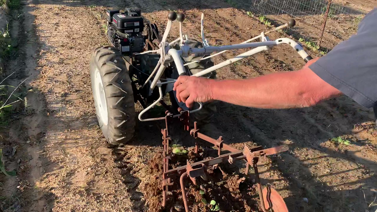 David Bradley walk behind tractor