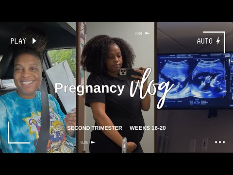 Second Trimester | Pregnancy Vlog | Gender Results, Appointments, Mother’s Day, & Memorial Day