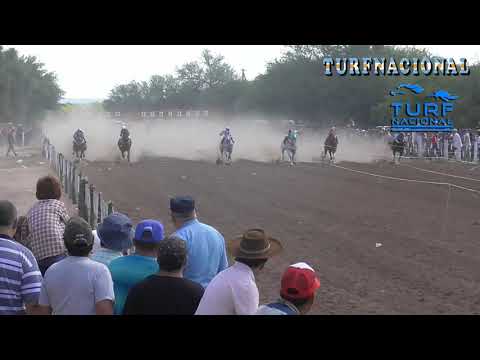 COCOLUZ - PISTA PANGARE DE CRUZ DEL EJE / 9-12-2018