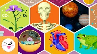 Natural Science for kids - Human body systems, the plant, the cell, the Solar System, animals