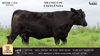 LOTE 12  3058