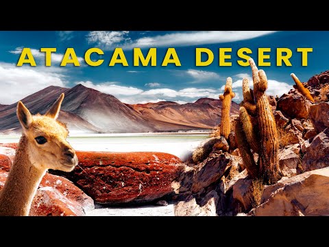 THE ATACAMA DESERT - why should you visit? | 5 days itinerary