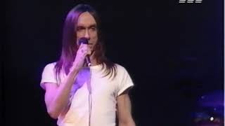 Iggy Pop Beside You Top Of The Pops 13 may 1994