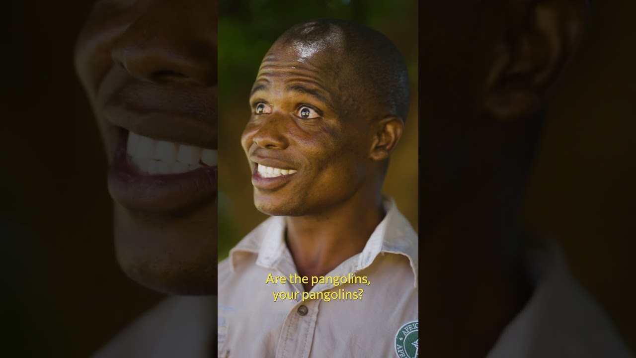 Simon Tabashabira: A head for numbers and a heart for conservation