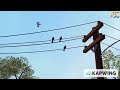 4 Seconds Of Every THX Certified Pixar Film 1995 2006