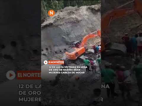 Tragedia en Nariño: 12 de las 14 víctimas del derrumbe en una mina de oro eran mujeres