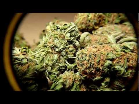 (Muddy Fatique) Chukk Rukkuz - Its All Love (NevaFaded) Prod By.Ruz