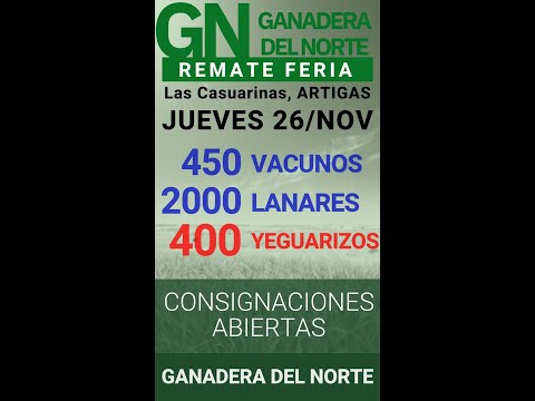 26/11/2020 Las Casuarinas - Ganadera del Norte S.R.L.