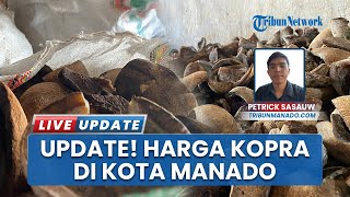 Turun Tipis Menjadi Rp20.200 Per Kg, Penurunan Harga Kopra di Manado Terjadi Beberapa Pekan