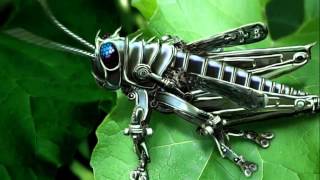 Mhonolink - Locust