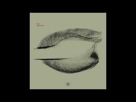 Indefinite Pitch PREMIERES. Pattrn - Reflets Suspendus [Cellar Door Records]