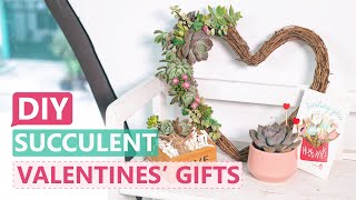 DIY Succulent Valentine's Day Gifts