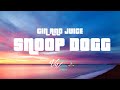 Snoop Dogg Gin And Juice Lyrics