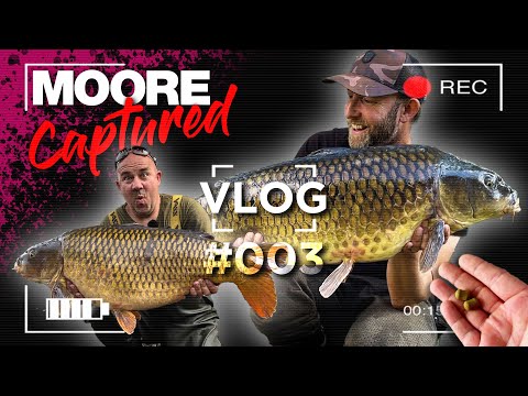 VLOG #003 - CCMOORE CAPTURED - CARP FISHING BEHIND THE SCENES