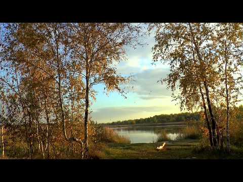 ОСЕНЬ. Видео Футаж. Этой осенью можно любоваться вечно !!! Самая Красивое видео на Свете!!!
