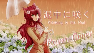 【Raven】Blooming in the Mud 「泥中に咲く�