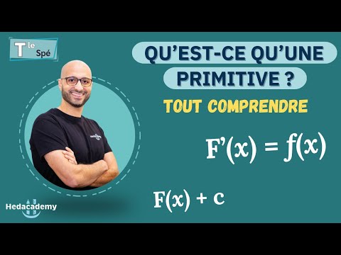 WHAT IS A PRIMITIVE?