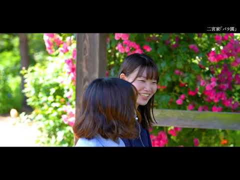 聖籠町観光プロモーション動画（二宮家の日本庭園とバラ園）