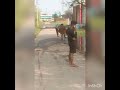 Yah Kya Ho Raha Hai Harsh Beniwal
