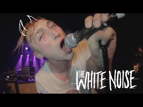 The White Noise - Cosmopolitician (Live Video)