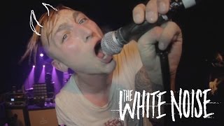 The White Noise - Cosmopolitician (Live Video)