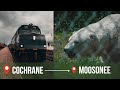 Polar Bear Express | Cochrane to Moosonee