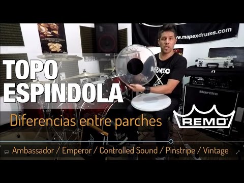 Topo Espíndola - Diferencias entre parches REMO