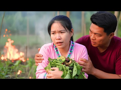 Ly Hoai Ca Catches the Culprit - Hung's Wife Exposes Jealous Neighbor's Cruel Revenge