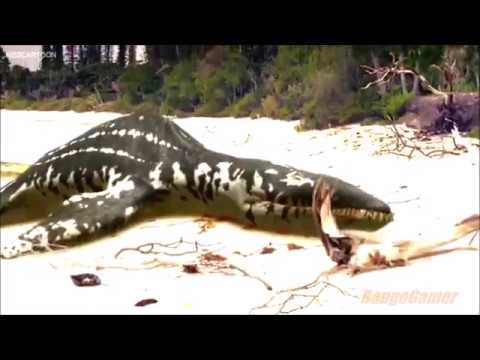 Walking With Series Tribute-11 AM (Daydreamer)