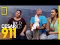 Cesar Millan: Viva Las Vegas Live Trailer 