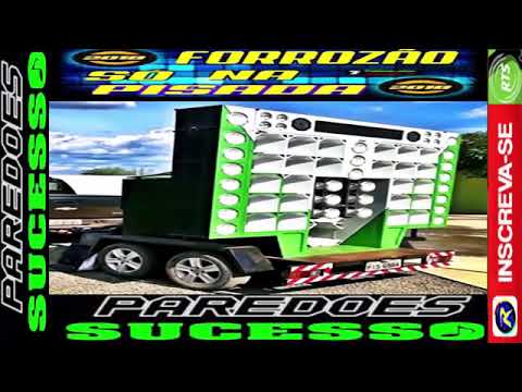 FORROZÃO SÓ NA PISADA AO VIVO SUCESSO