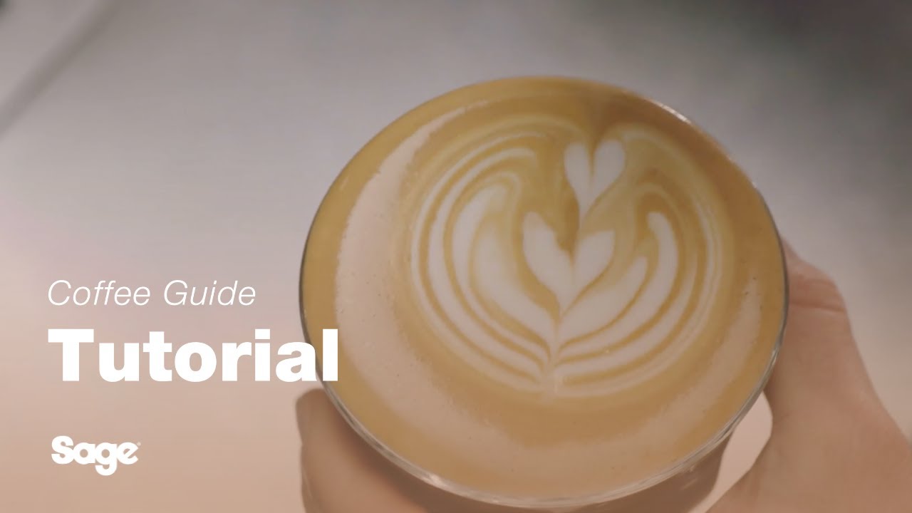 Breville coffee guide tutorial - How to create latte art: the tulip & rosetta