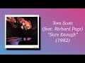 Tom Scott (feat. Richard Page) - Sure Enough (1982) AOR
