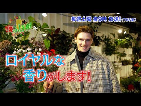 園芸 白人のアラベット、シルバーバスケット