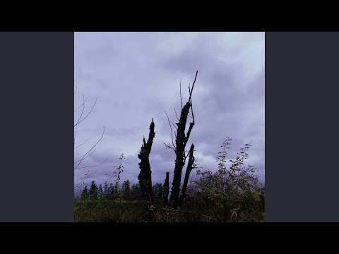Video thumbnail for November