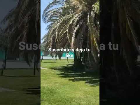 predio club atlético adelia María cordoba