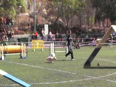 MOV17B.MOD_AVANZADOS 1º manga, Yanira con Liby