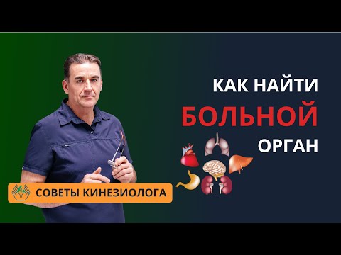 БОЛЬНОЙ ОРГАН, как найти? Диагностика без УЗИ и прочих исследований с помощью мышечного теста