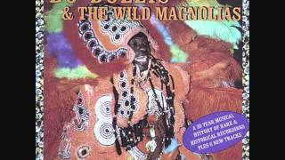 Bo Dollis & The Wild Magnolias- Ho Na Nae (live)