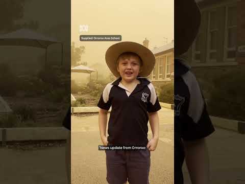 The toll of drought on regional Australia | ABC NEWS