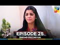 Zindagi Gulzar Hai Episode 25