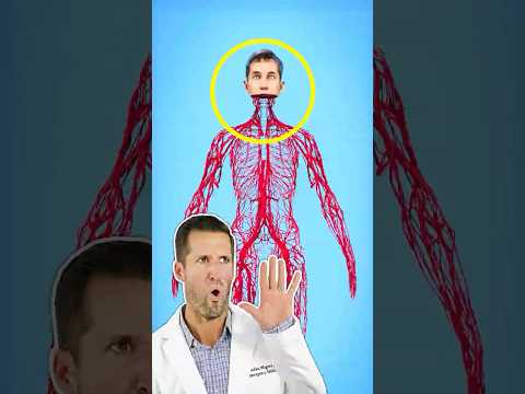 ER Doctor REACTS to How Long Are Your Blood Vessels (Zack D. Films)