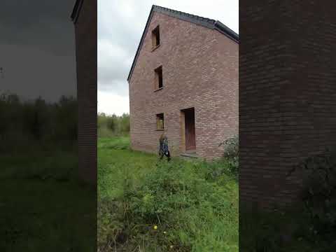 Vidéo