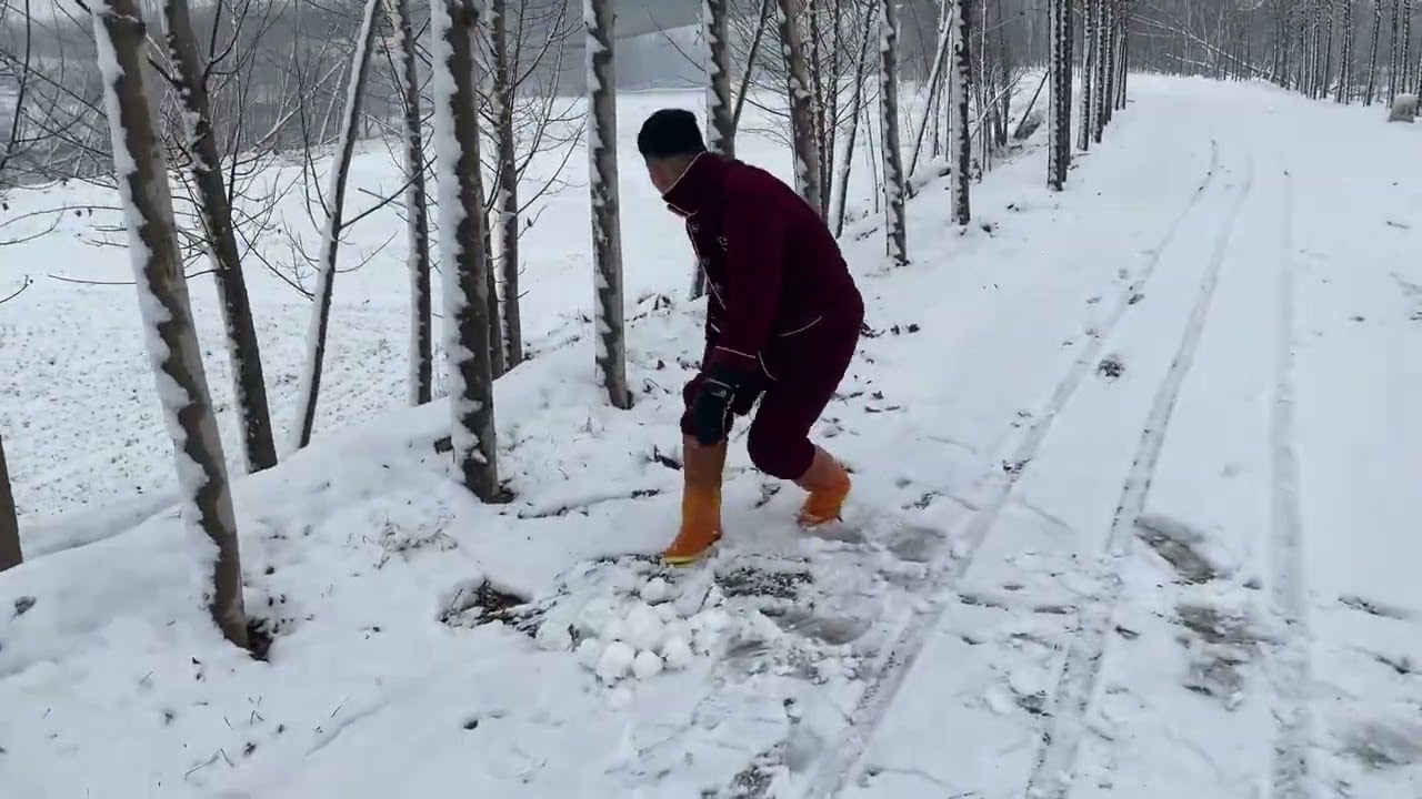 Friend Falls Down Snowy Embankment Trying To Kick Tree || ViralHog