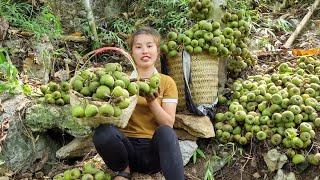 Download lagu Harvesting Natural Fruit Garden and Bringing it to the Market for Sale -Chuc Thi Duong mp3